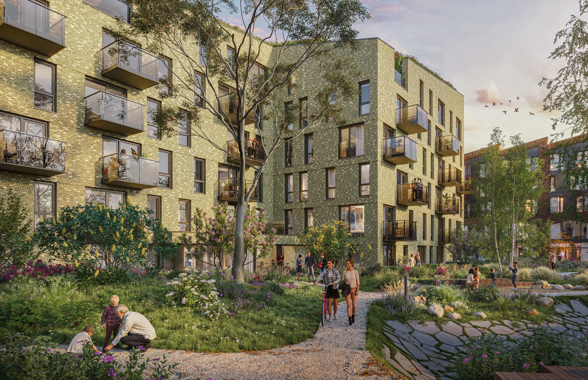 250624 NIEUWOUDORP ARTIKEL DOK6 EXT 4